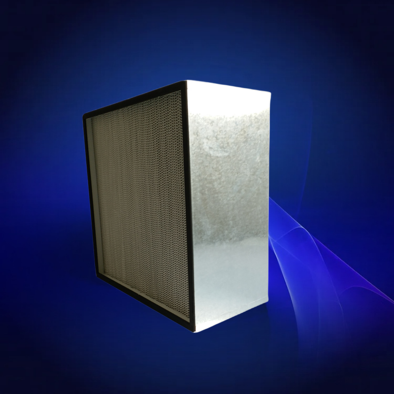 Dirkbiel Partition HEPA H14 (metal Frame)